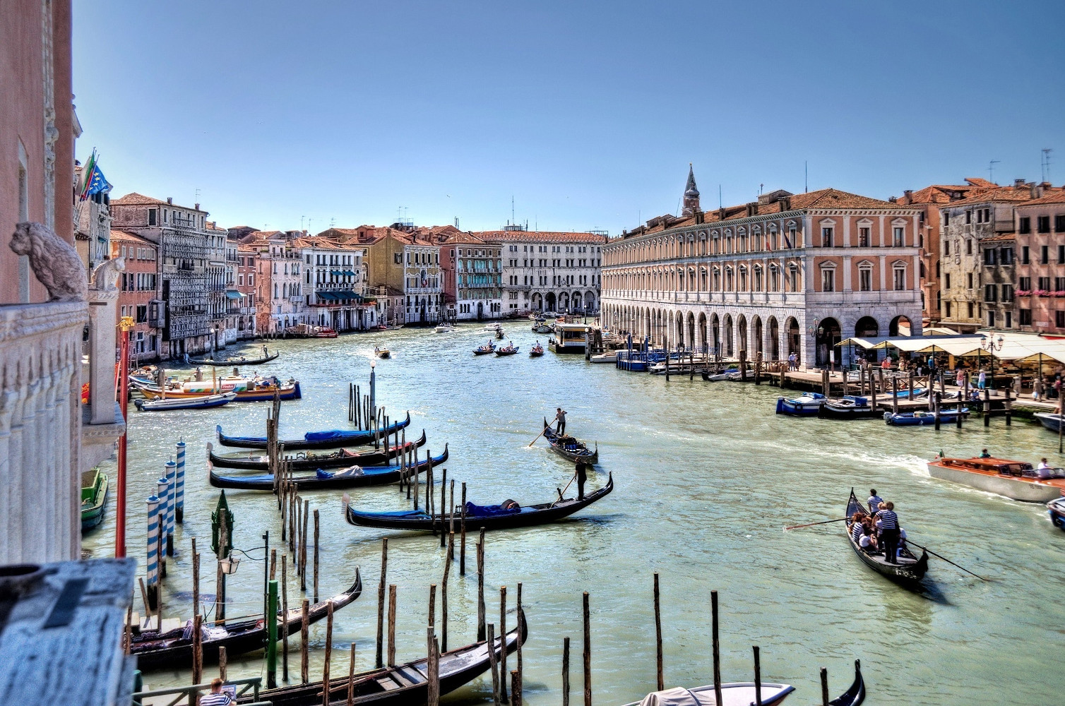 Venise construite sur une forêt, sans cesse menacée, toujours debout