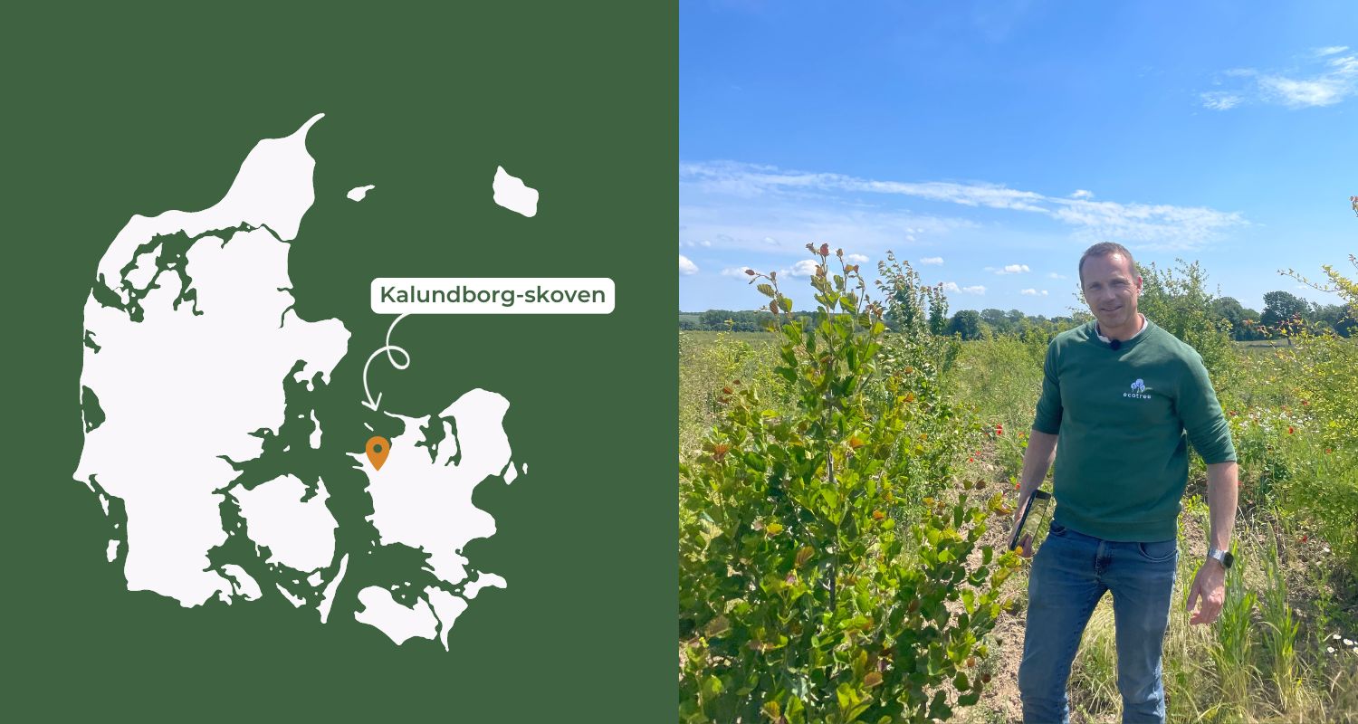 Nogle af træerne i Kalundborg er vokset vores administrerende direktør, Thomas over hovedet. 