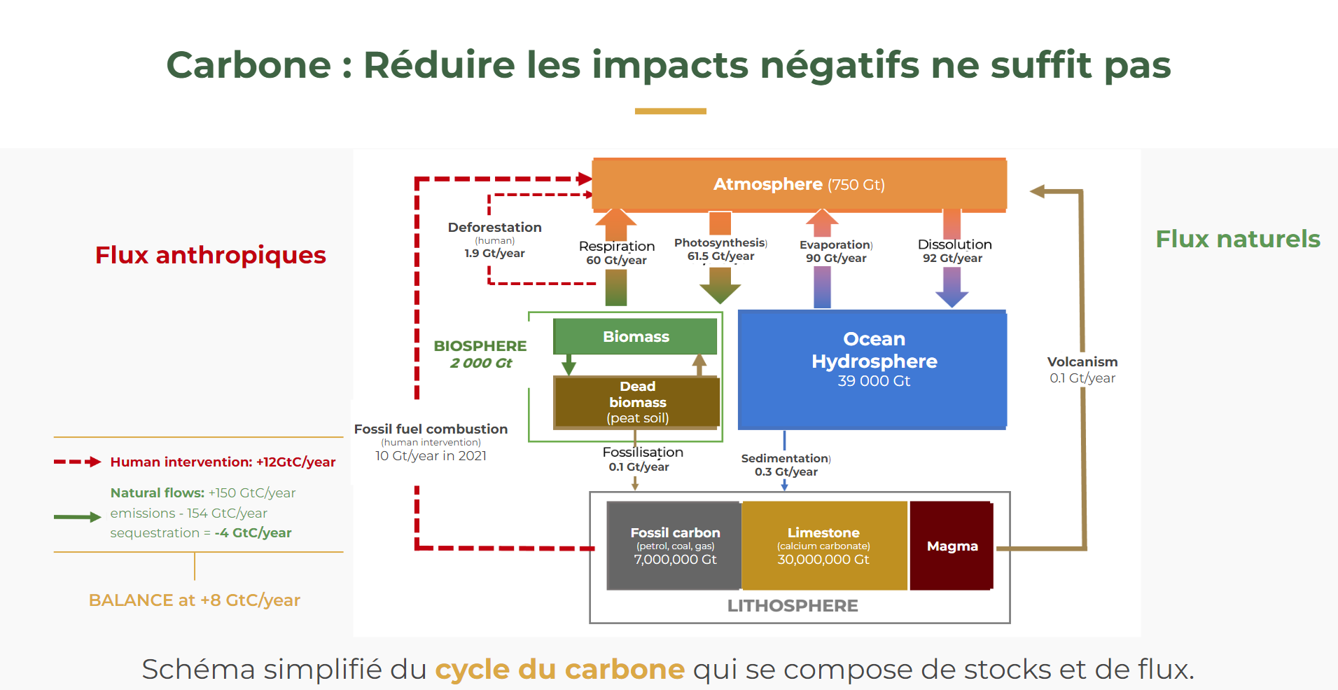 Cycle Du Carbone Qu est ce Qui Le Perturbe R le De L homme EcoTree Cycle Du Carbone Qu est ce Qui Le Perturbe R le De L homme EcoTree