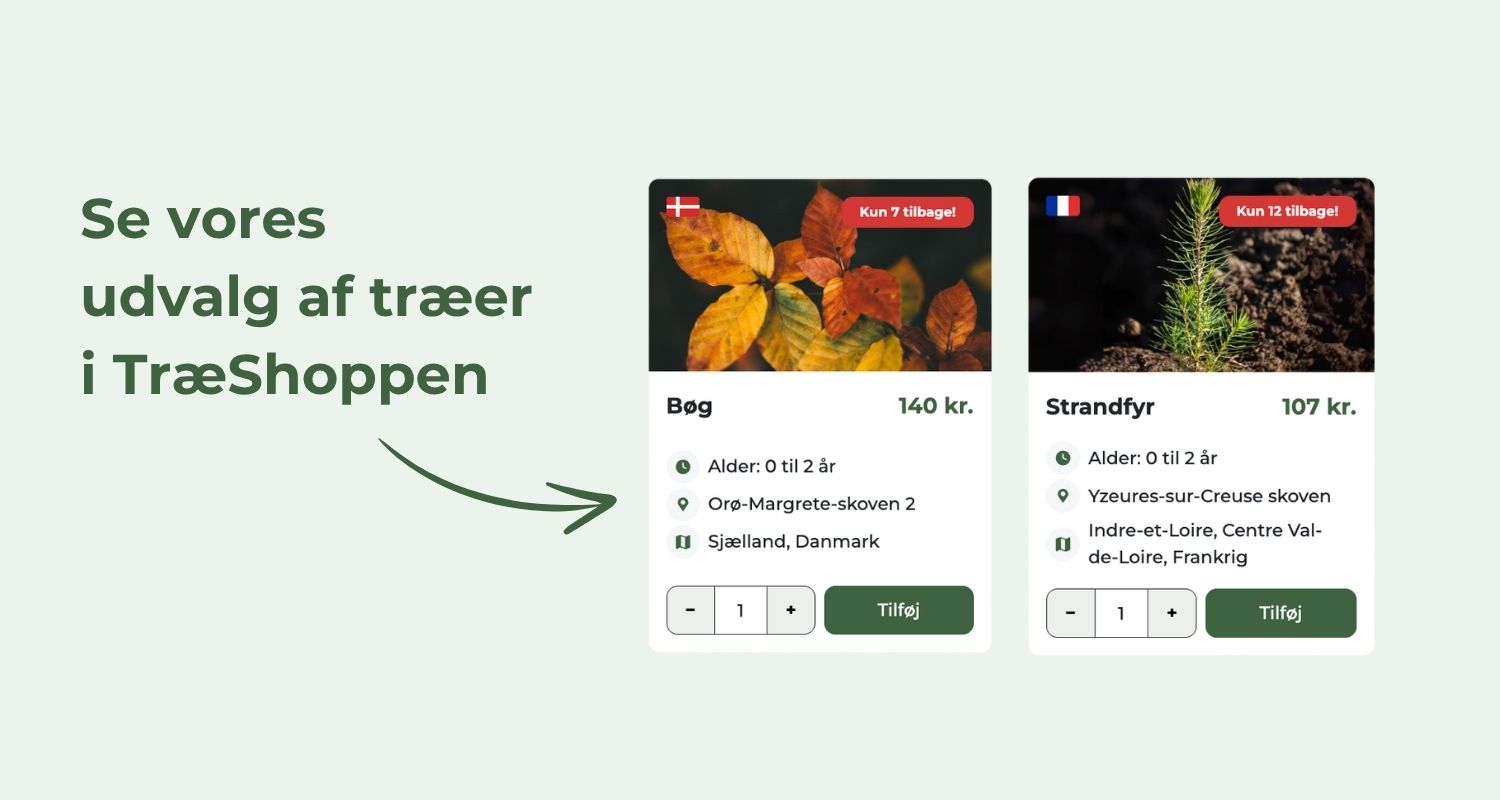 Se vores udvalg af træer i TræShoppen
