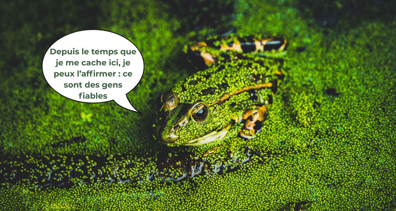Soutenir la nature avec EcoTree