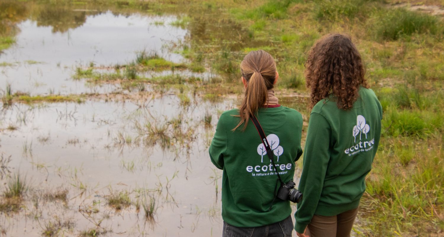 Besøg ved vores lavbundsjord-projekt i Belgien