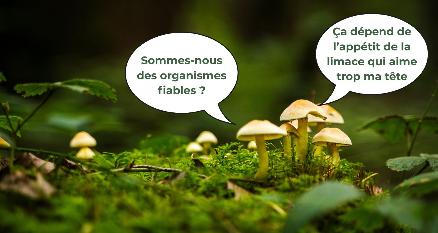EcoTree : site fiable
