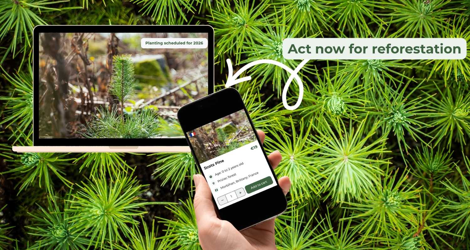 Act for now reforestation