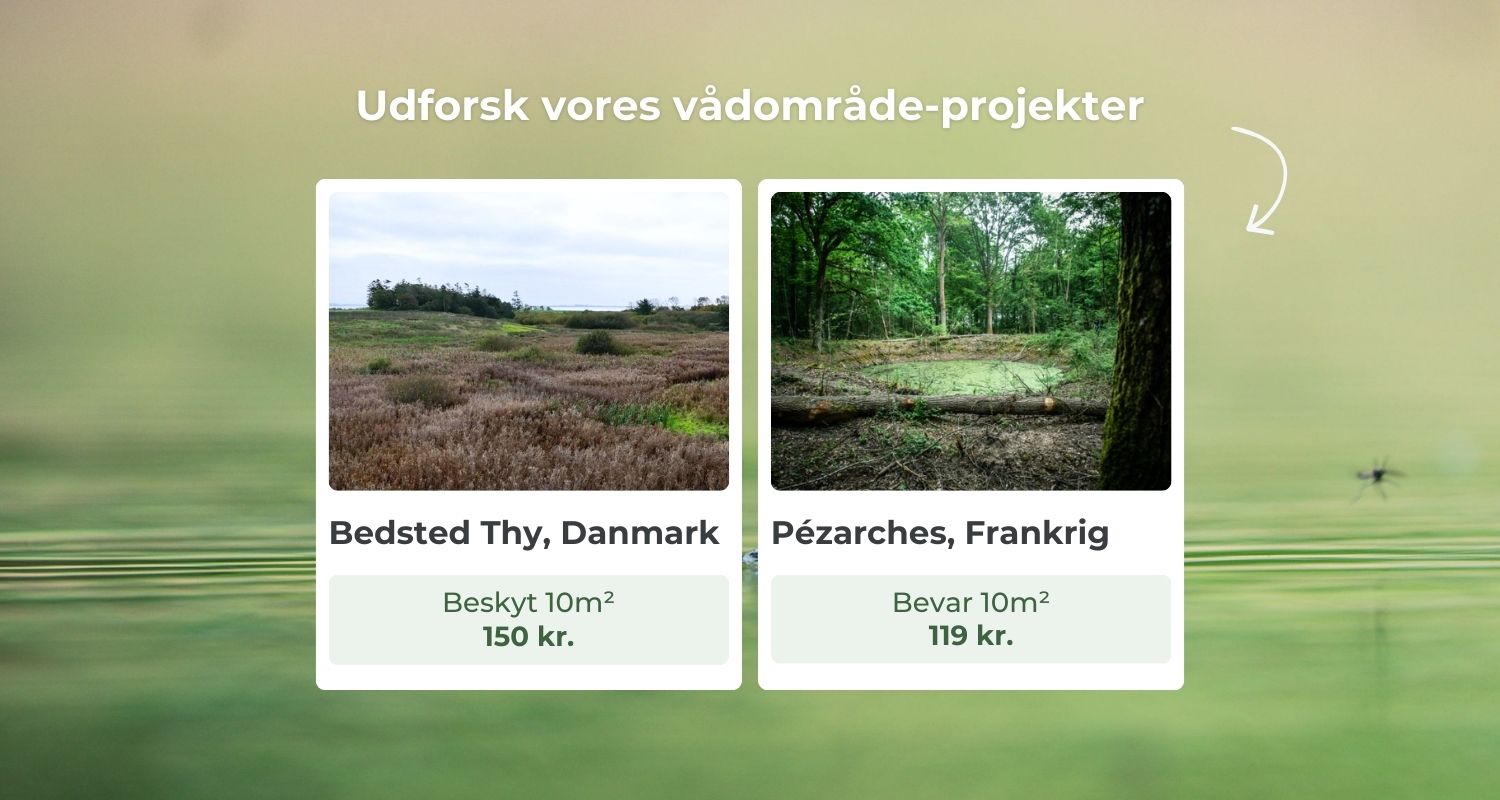 Udforsk vores projekter