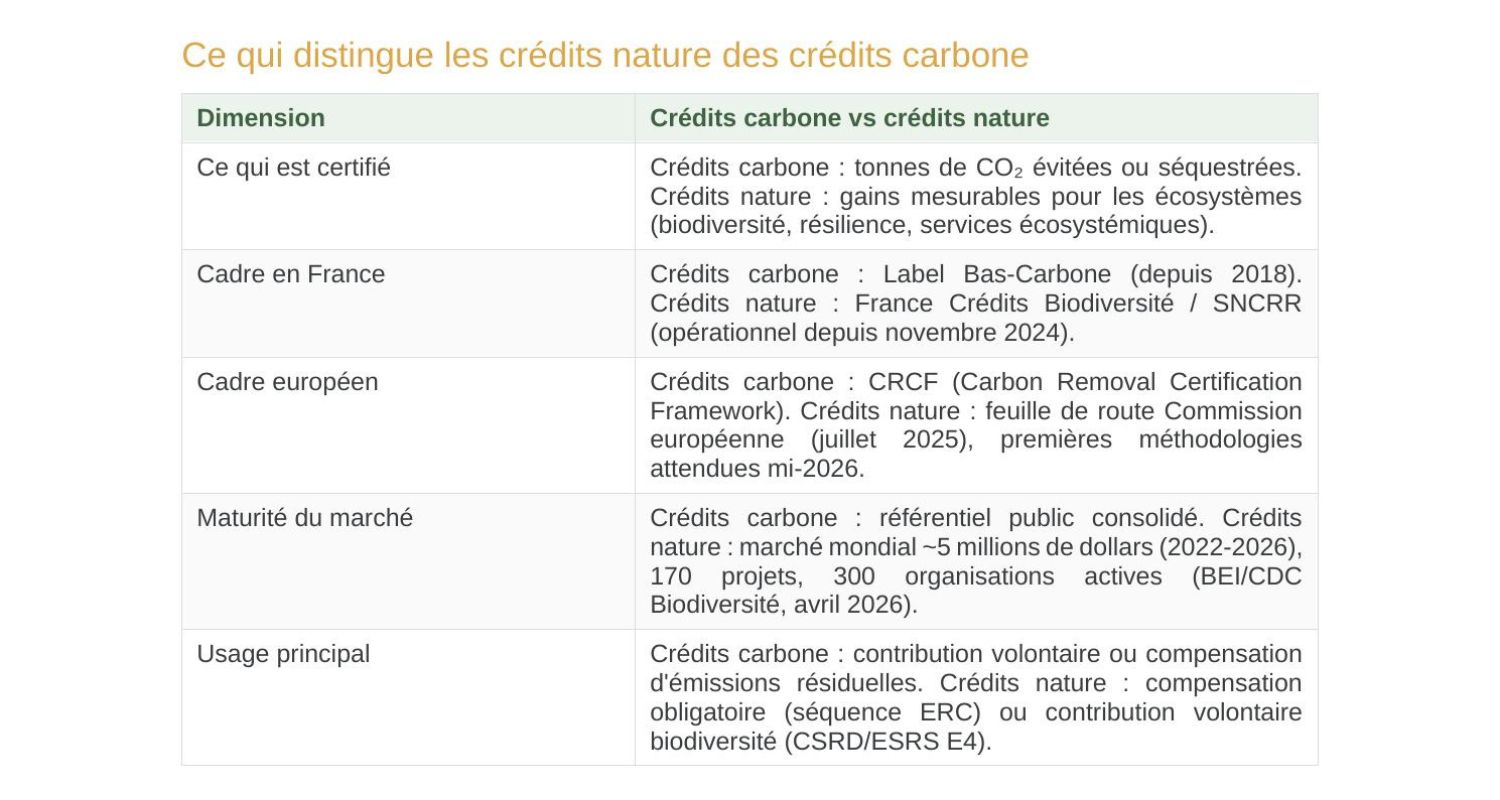 Différences entre crédits nature et crédits carbone