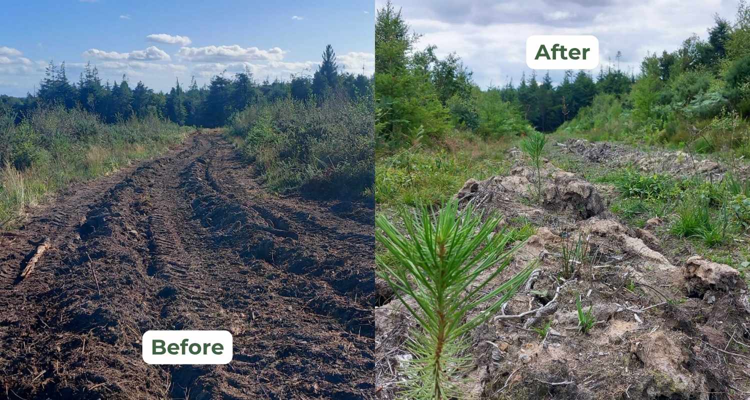 Before and after