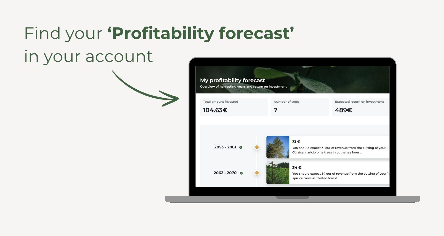 Find your 'Profitability forecast' in your EcoTree account