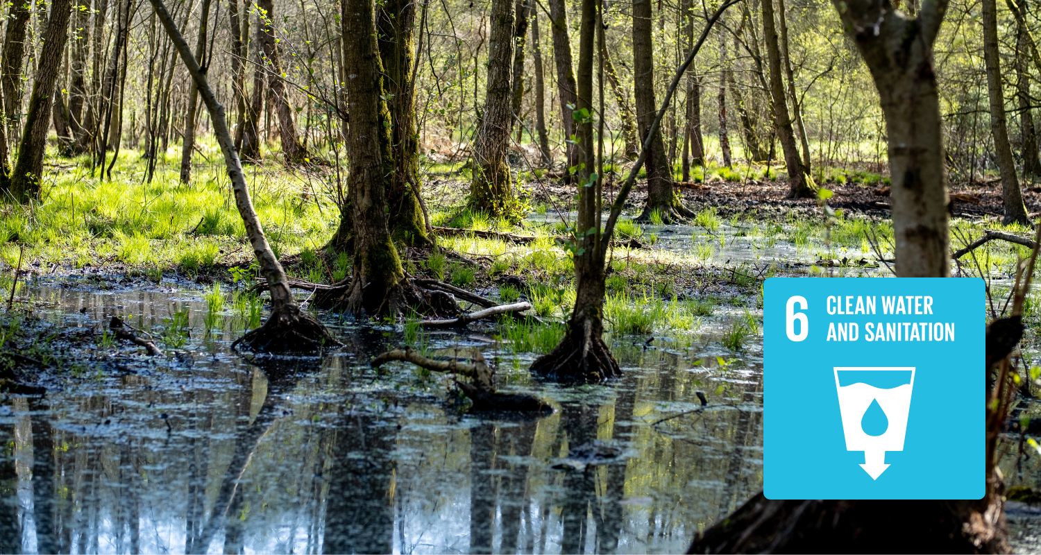 SDG 6: Clean Water and Sanitation