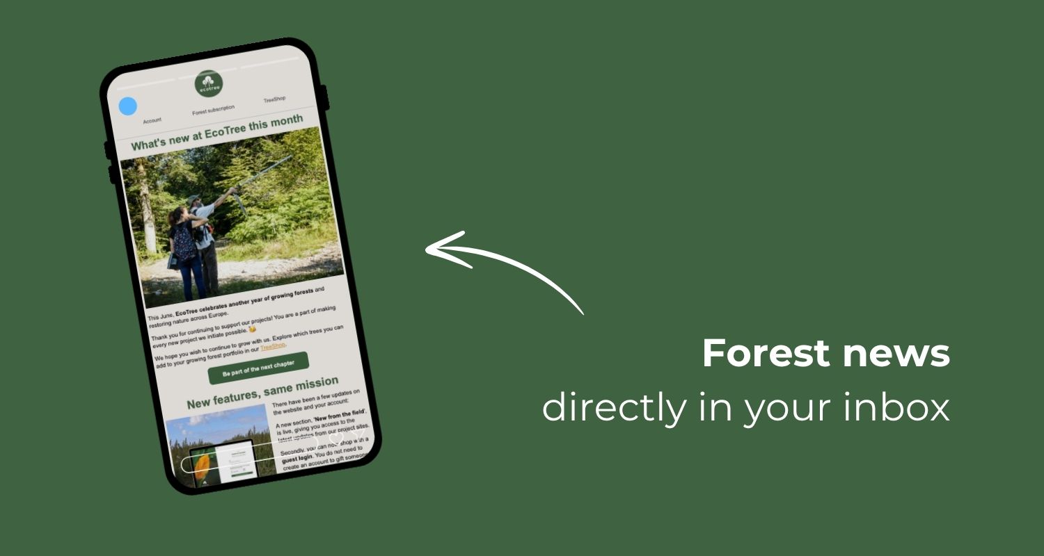 Forest news directly in your inbox
