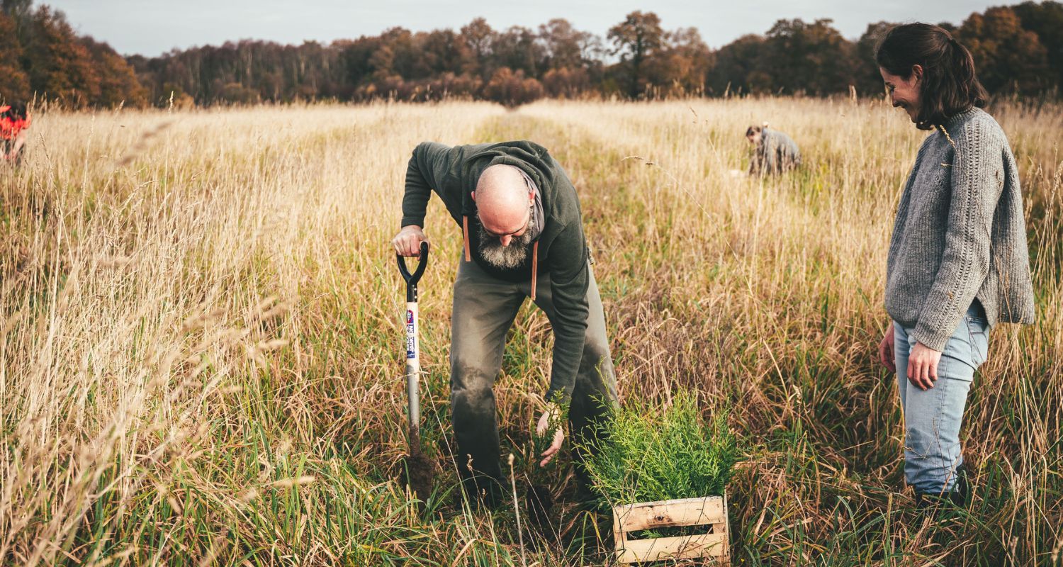 Faire planter arbres collaborateurs