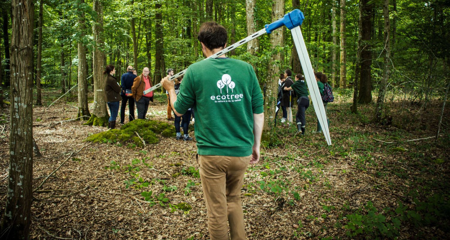 Forêt EcoTree à Pézarches