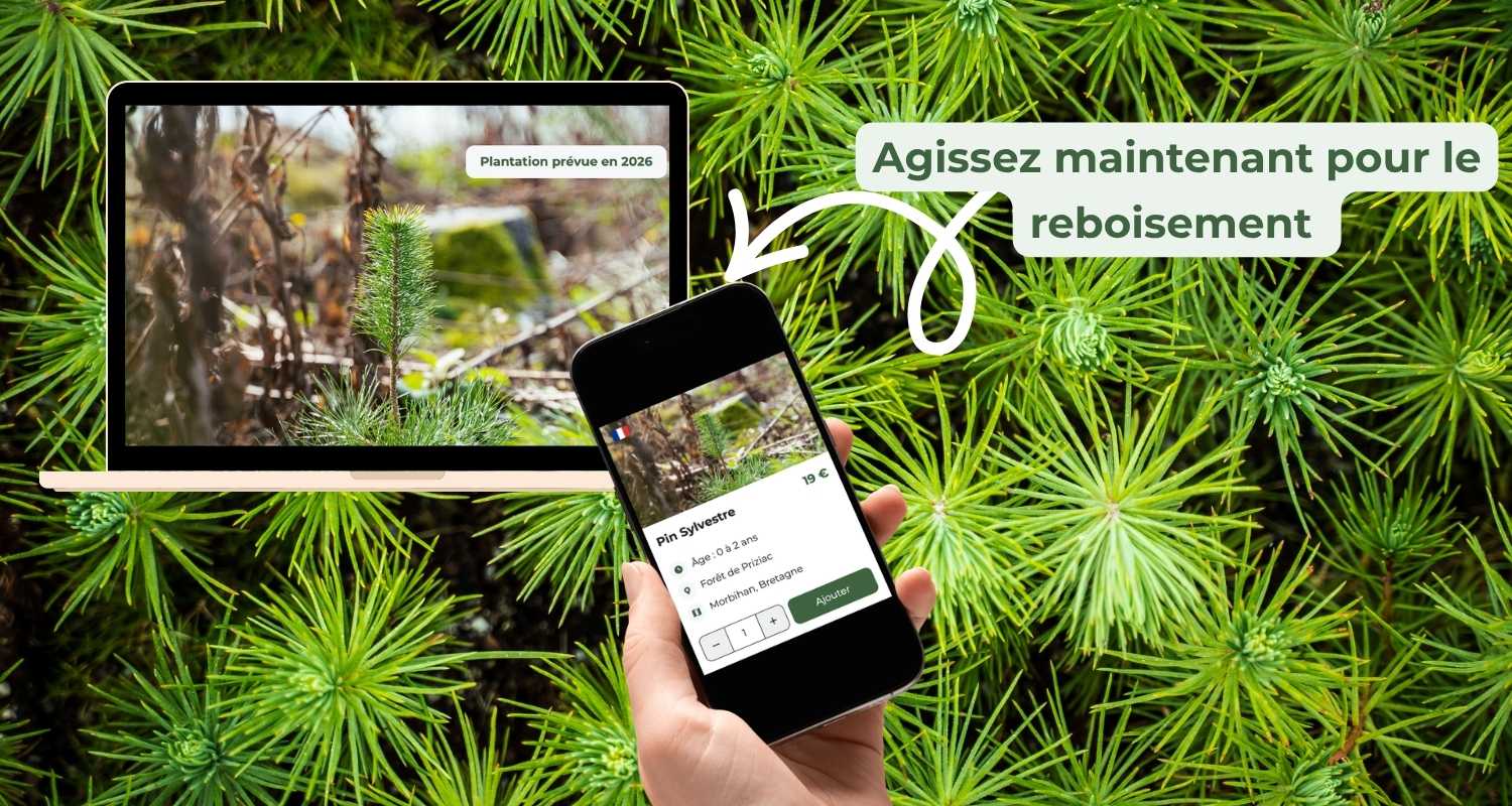 Agissez pour la reforestation