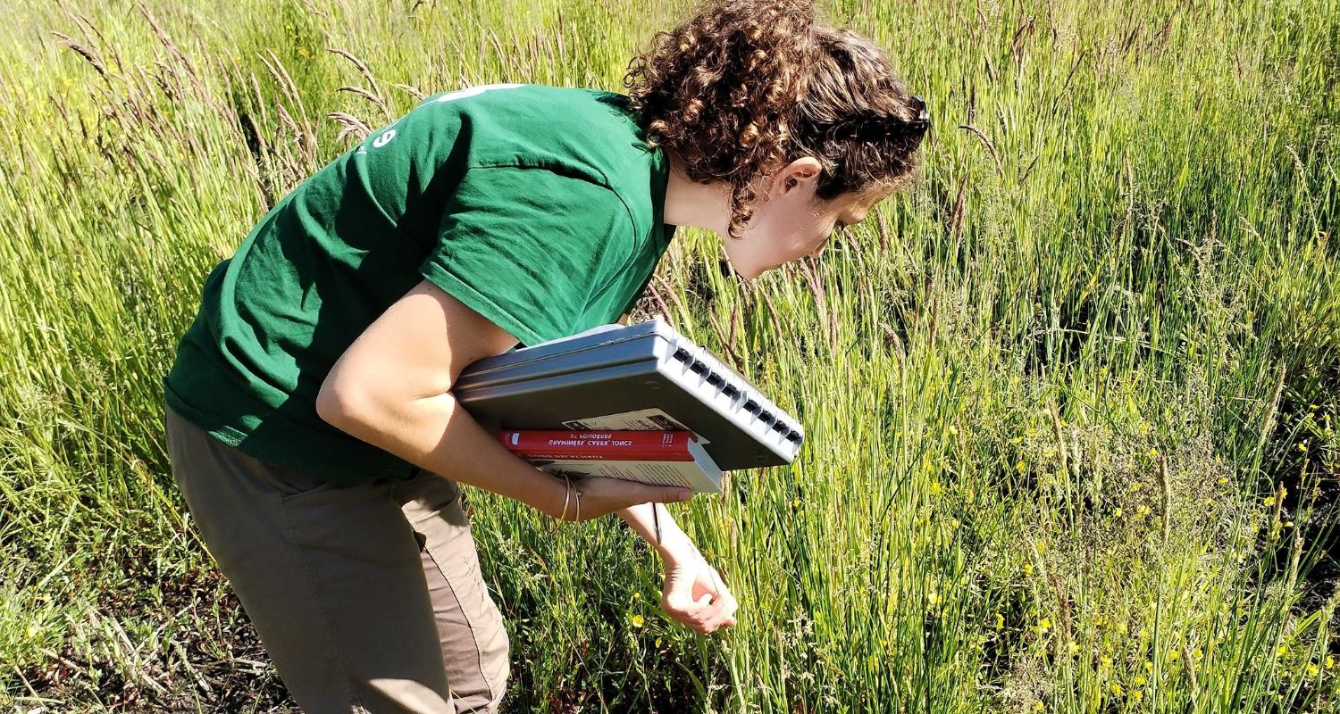 Louise Bouchardy conducting a biodiversity inventory in Ploërdut.