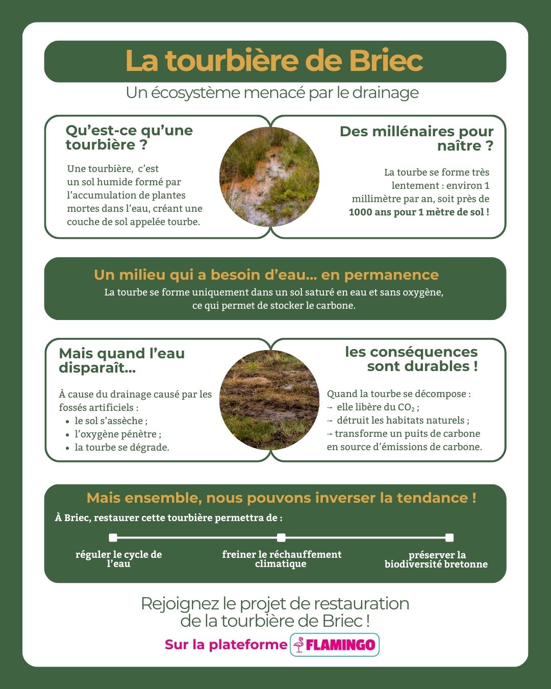 Restauration de tourbière