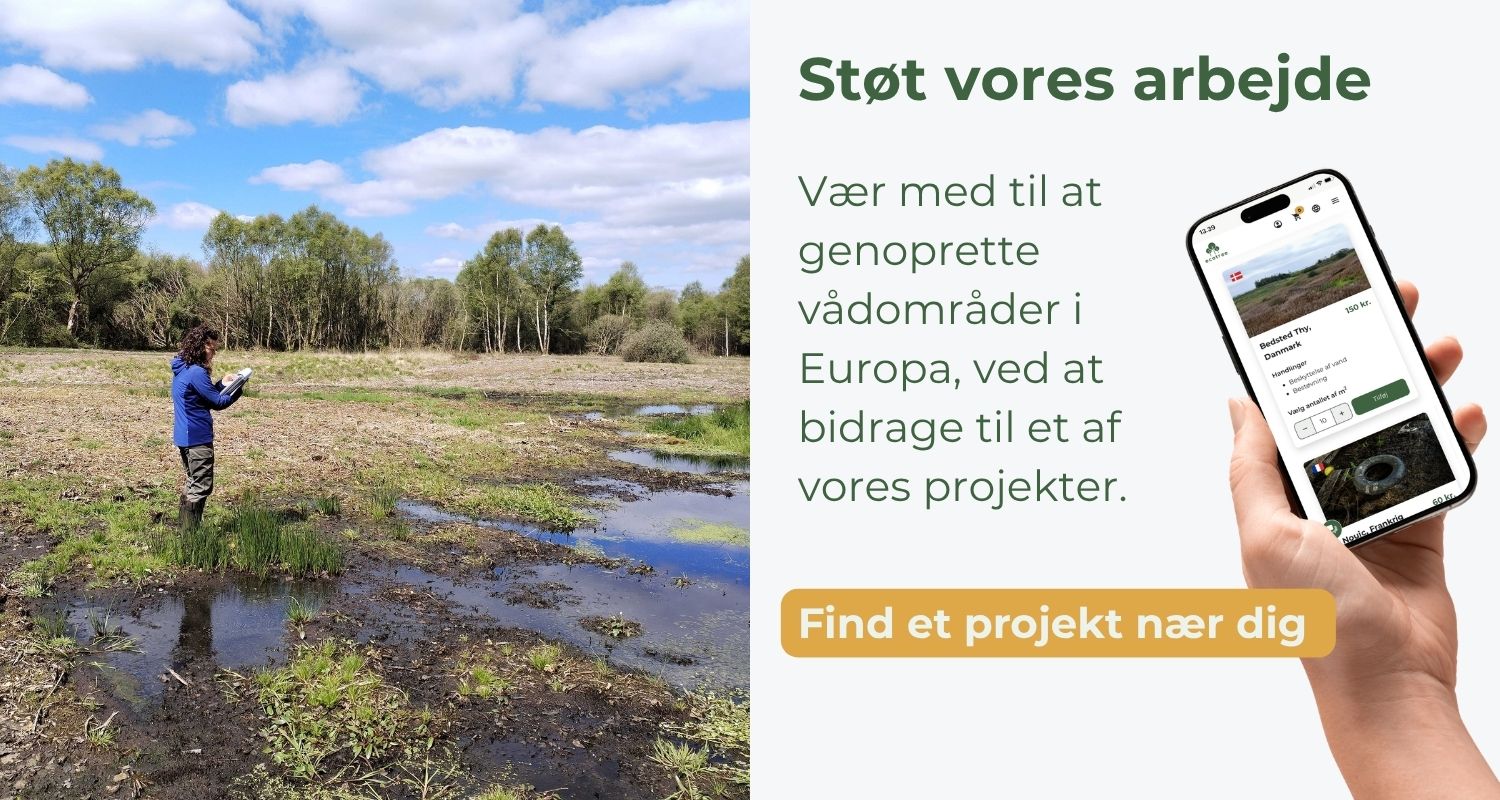 Bidrag til vores projekter. 