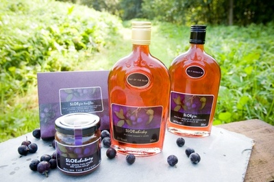 SLOE motion