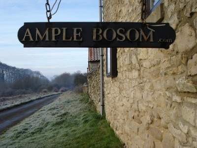 Ample Bosom