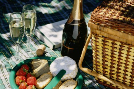 Picnic Ideas