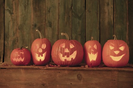 Autumn Date Ideas
