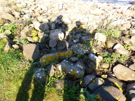 Romantic Walks in the UK and Ireland
