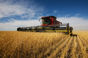 How to Meet Single Farmers – Part II