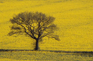 10 Reasons to Date a Farmer