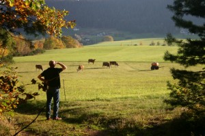5 Reasons Why Farmers are Sexy