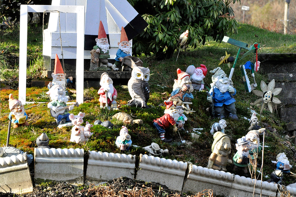 Gnome dating