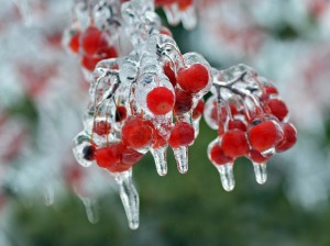 Winter Date Ideas