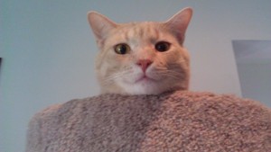 Flattering Photos