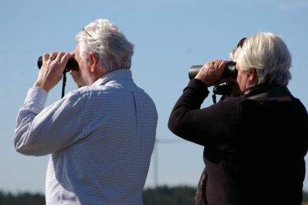 Wildlife Spotting Date Ideas