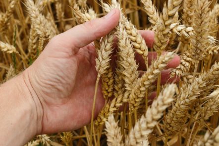 agriculture dating