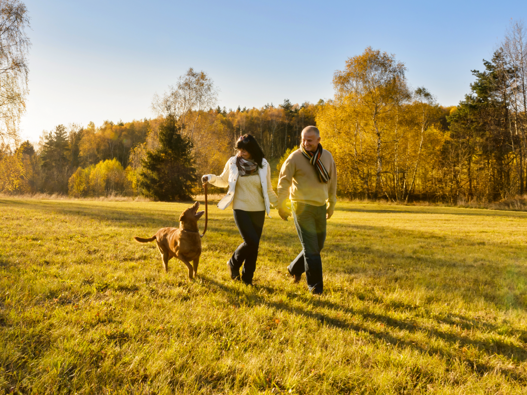 Spring success stories: Romance is blossoming