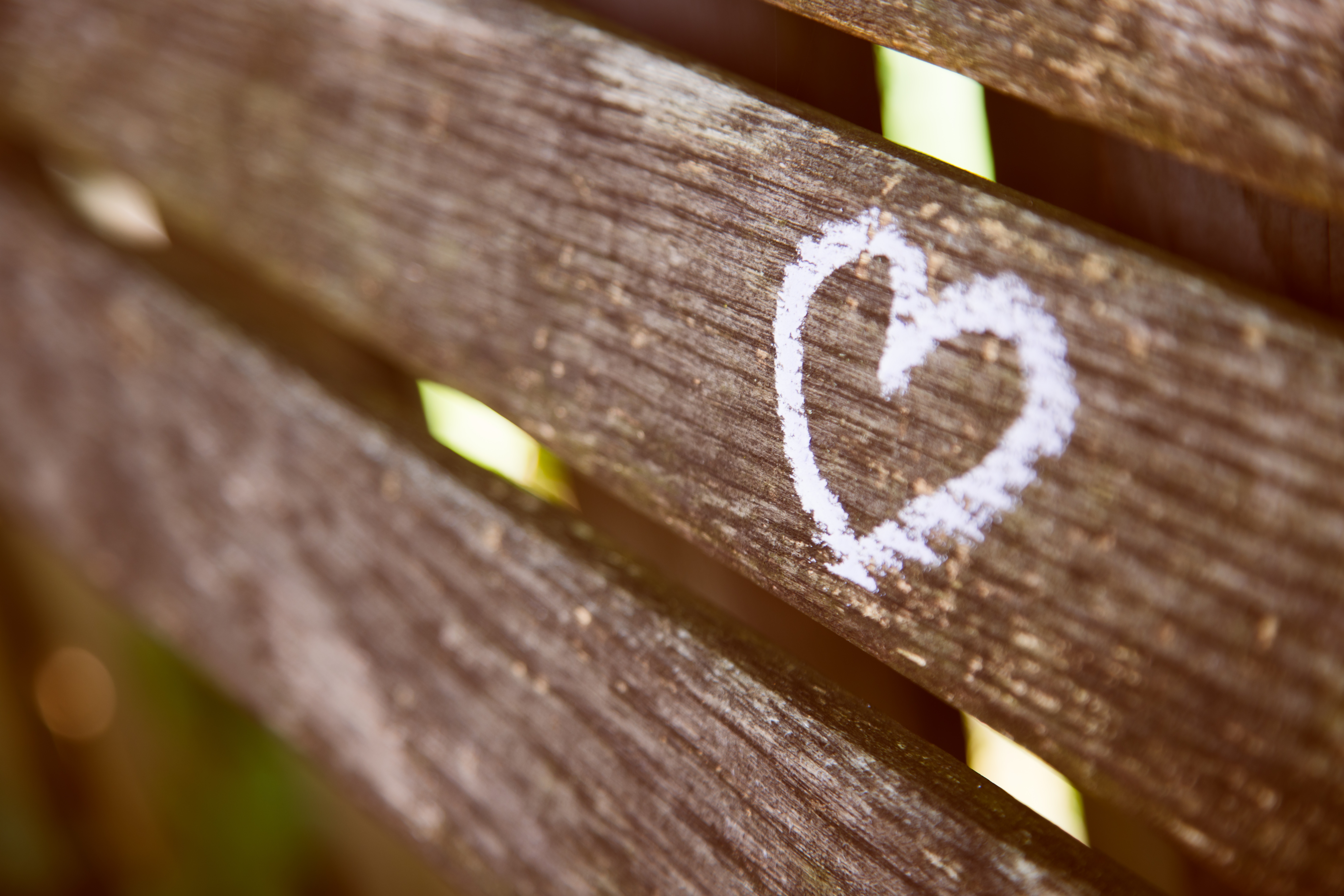 Keep Your Online Dating Enthusiasm Up!