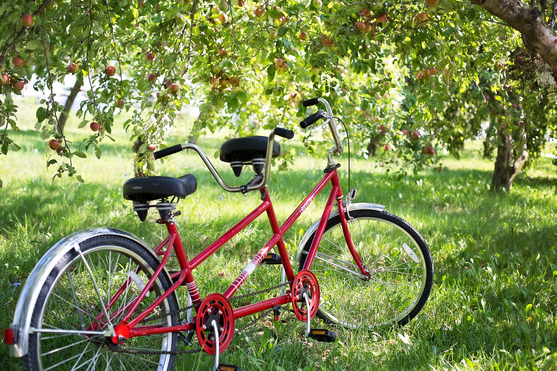 Alternative Autumn Date Inspiration For Countryside Singles