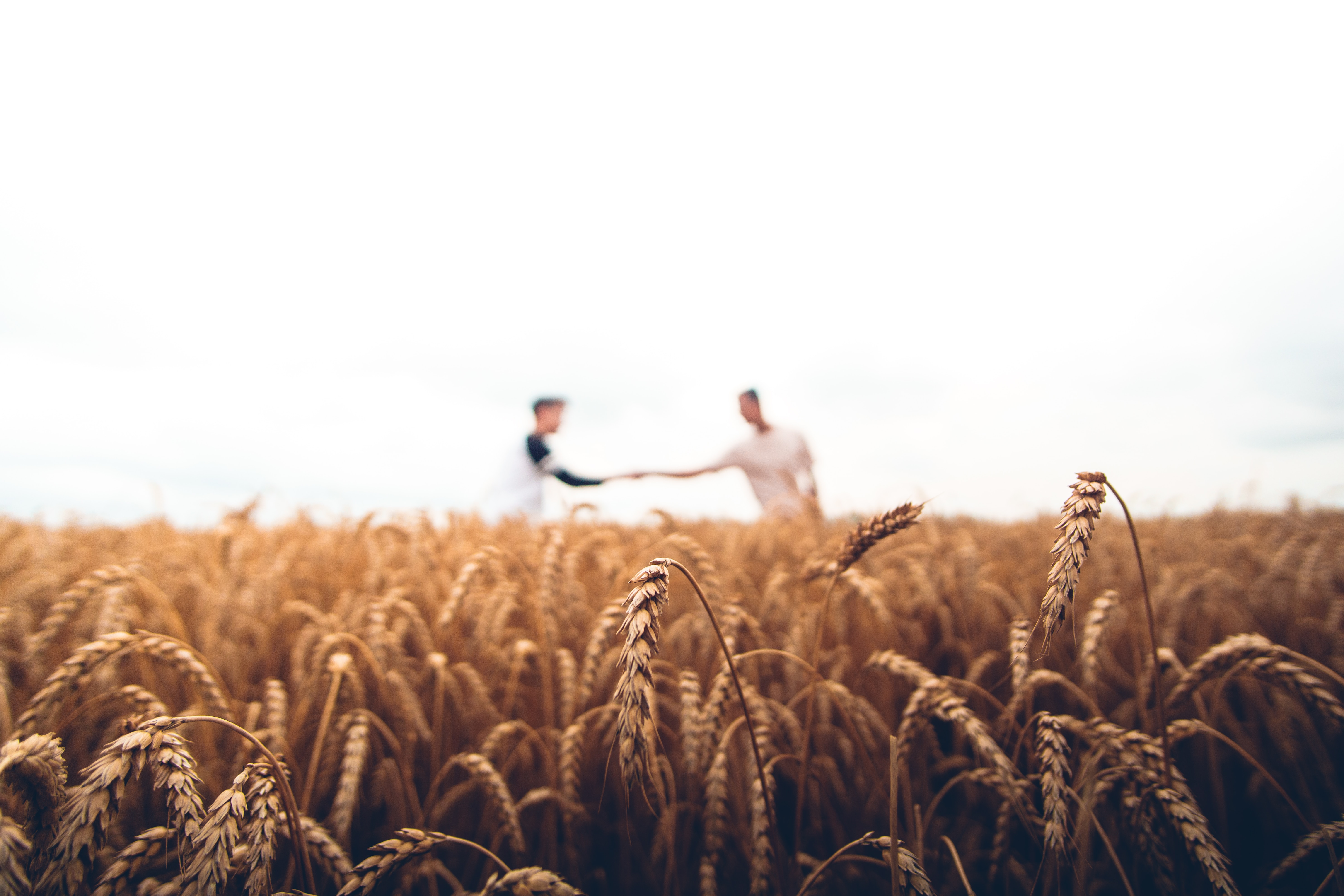 Top Six Ways Love + Companionship Can Help Your Mental Wellbeing