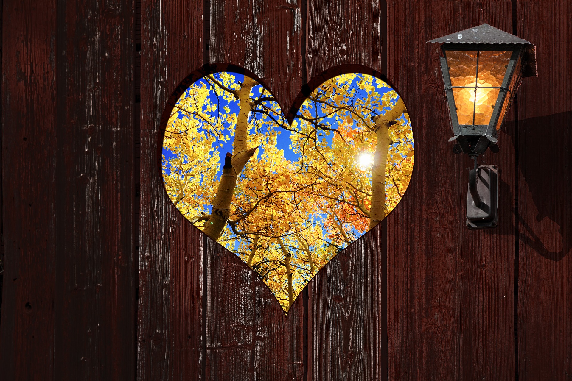 Online Dating With Muddy Matches – What You Need To Know