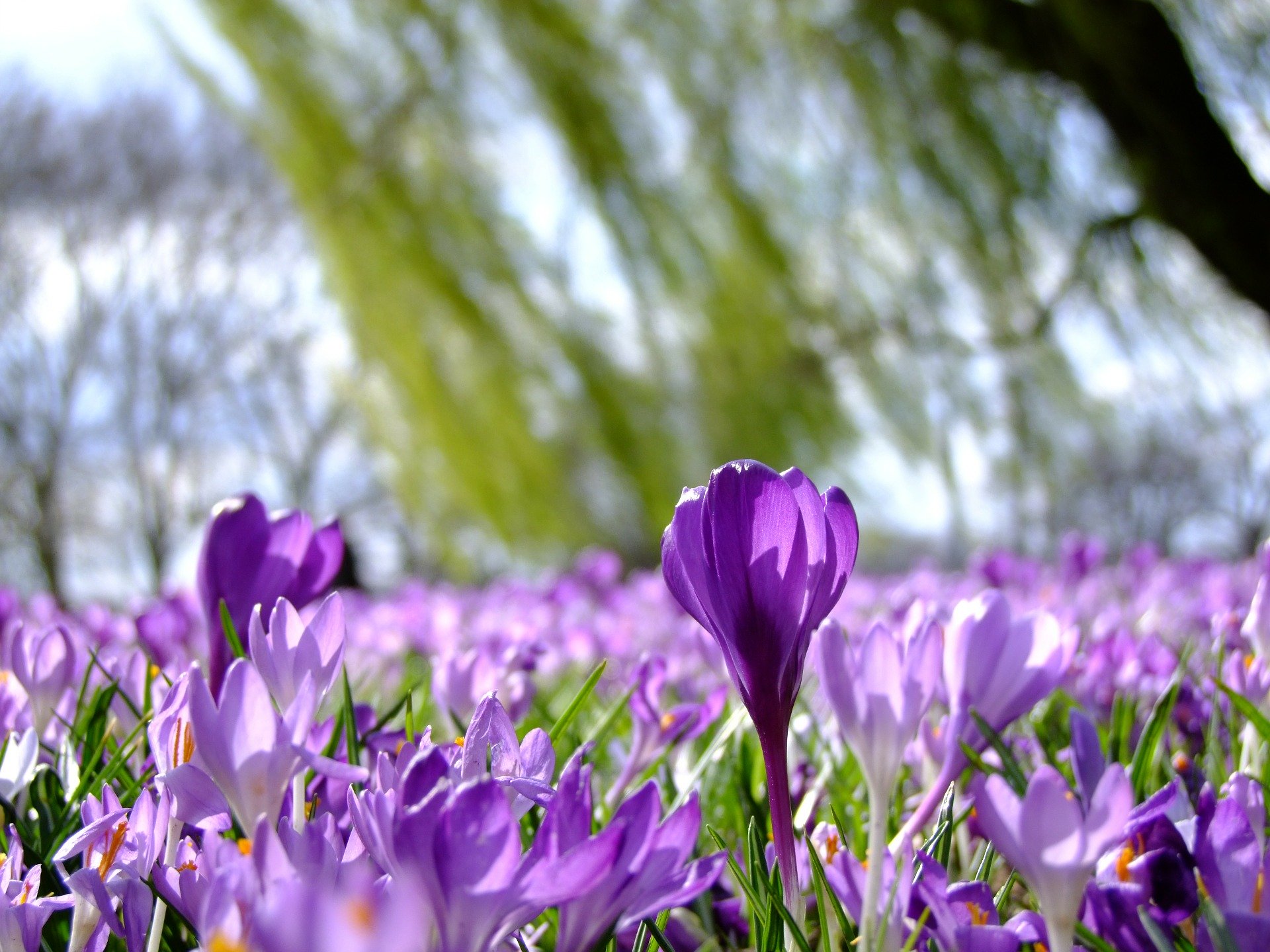 Six Fun + Fantastic Dates For March