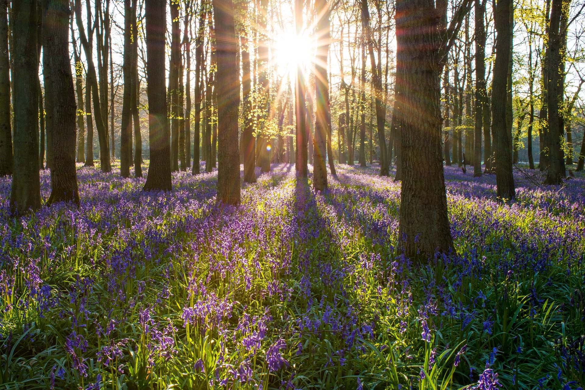 Eight Ways To Inject Rural Relaxation Into Lockdown Life