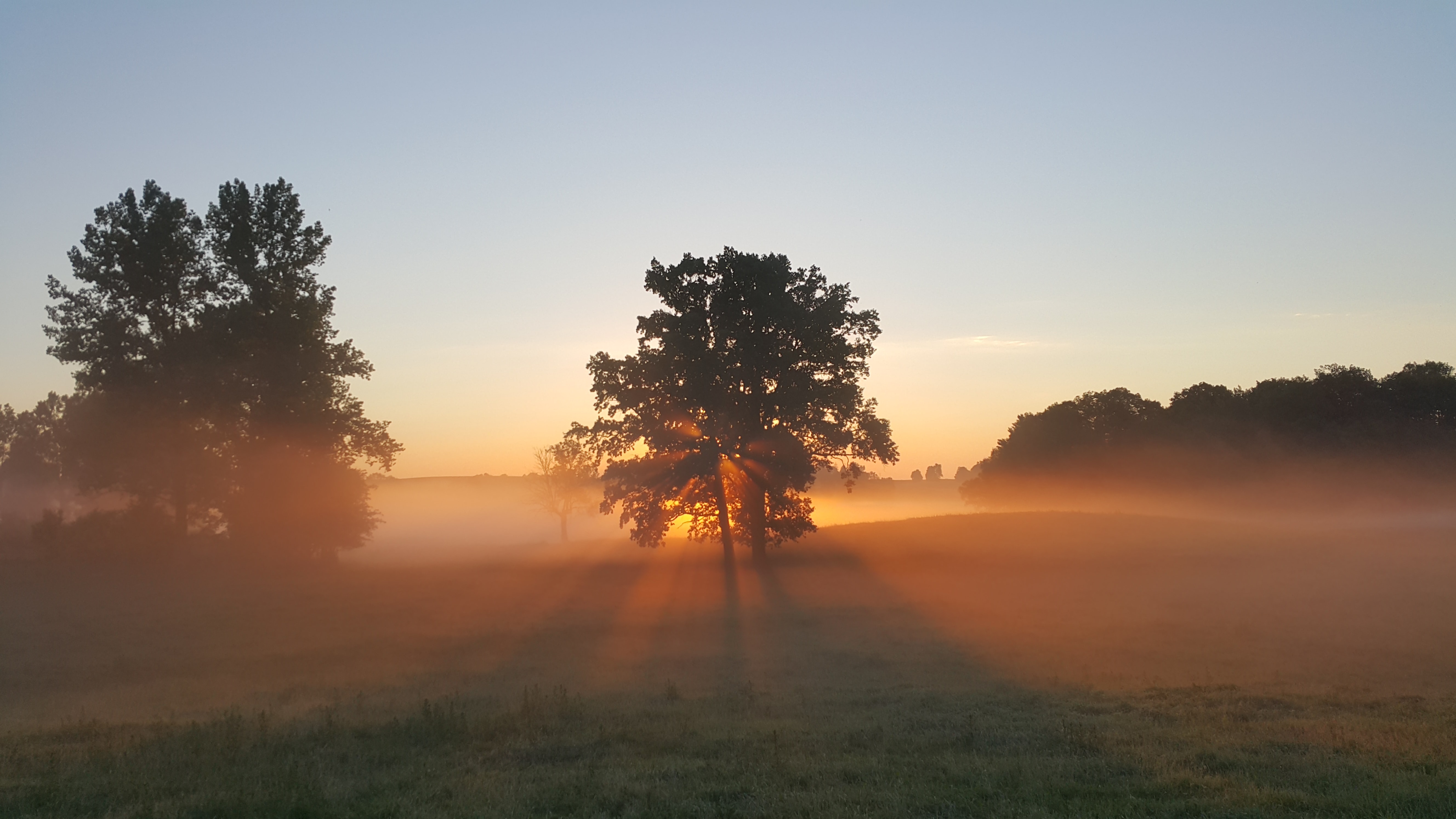 Six Ways To Celebrate June The Muddy Way