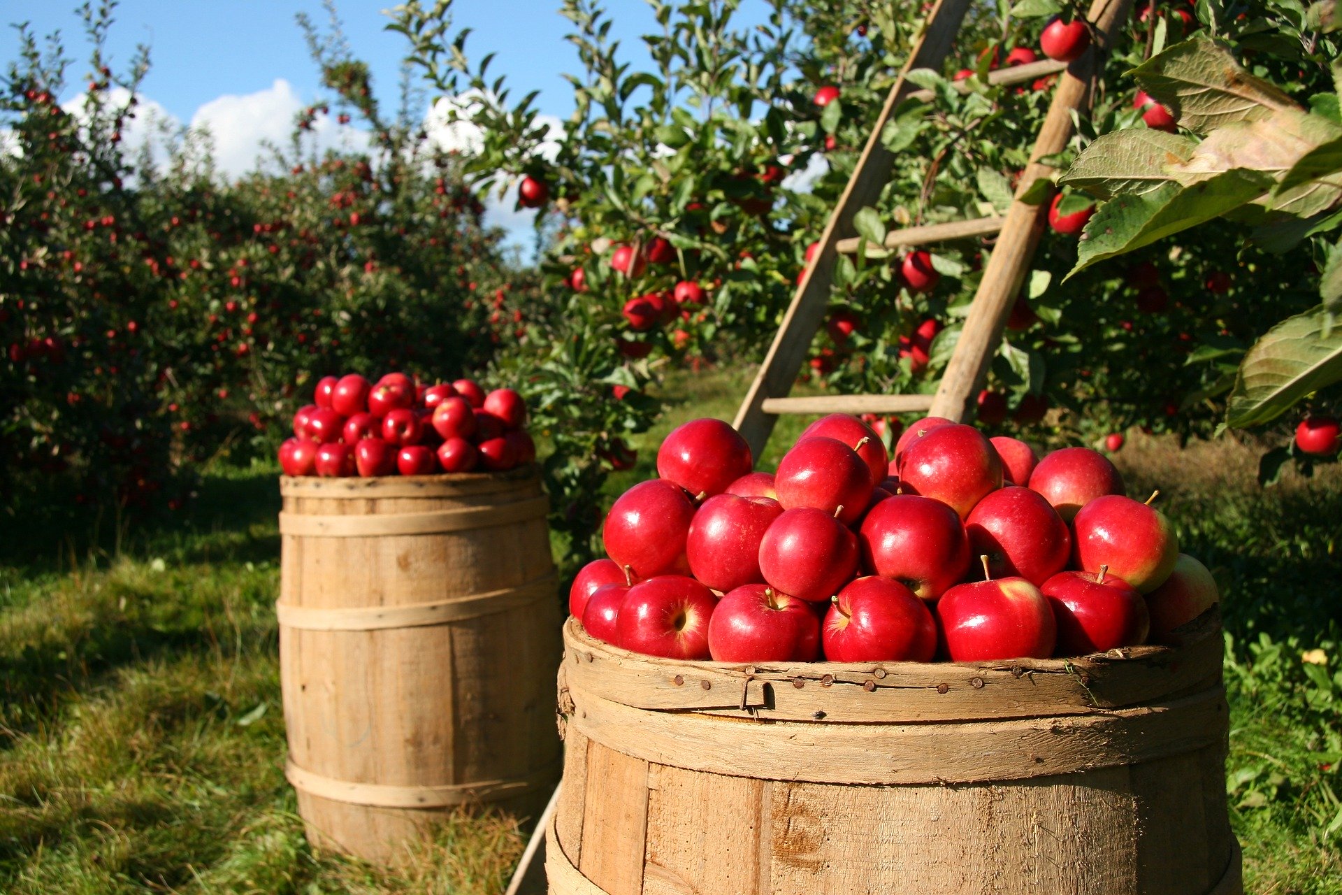 Eight October Dates For Country Lovers