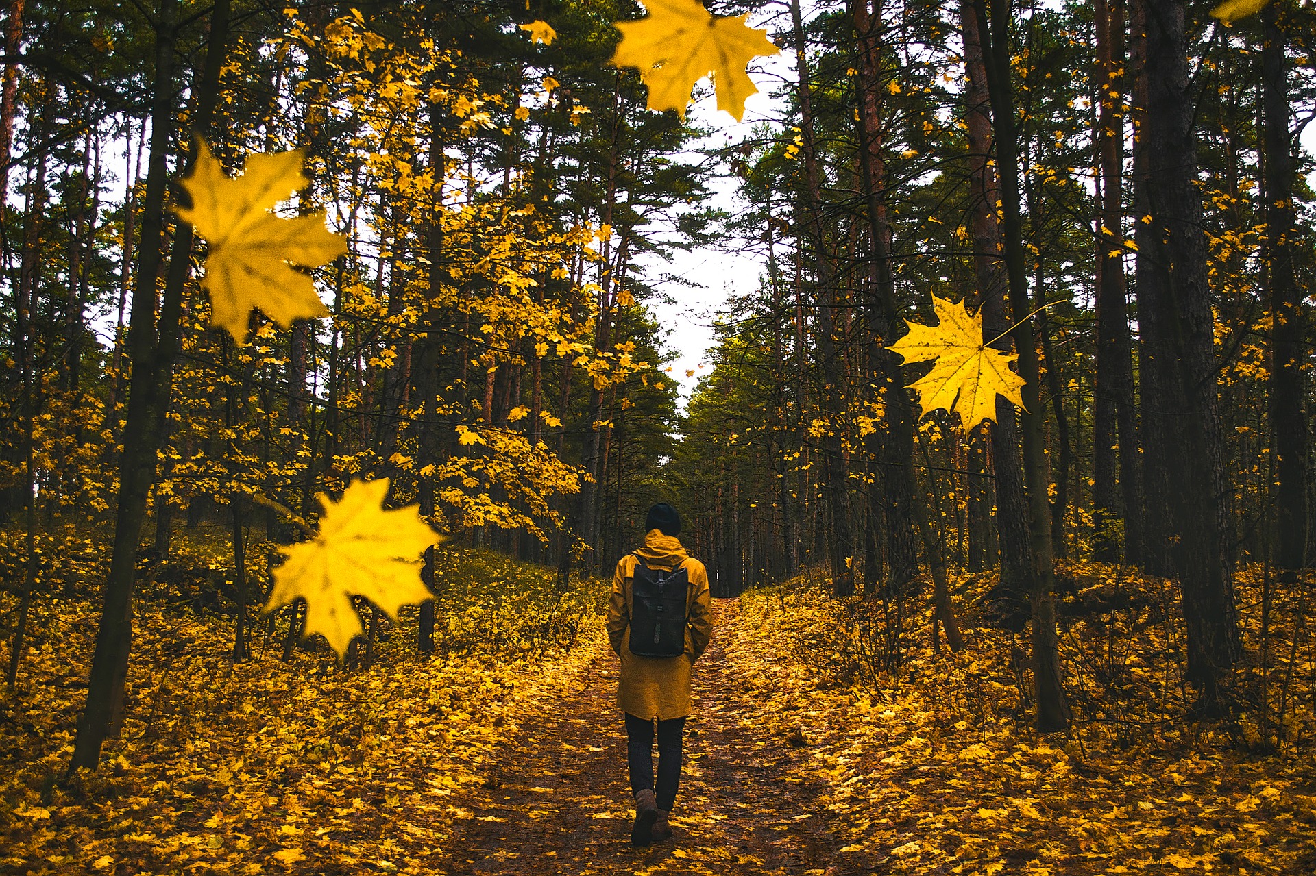 Tips For Looking After Your Mental Health In 2020