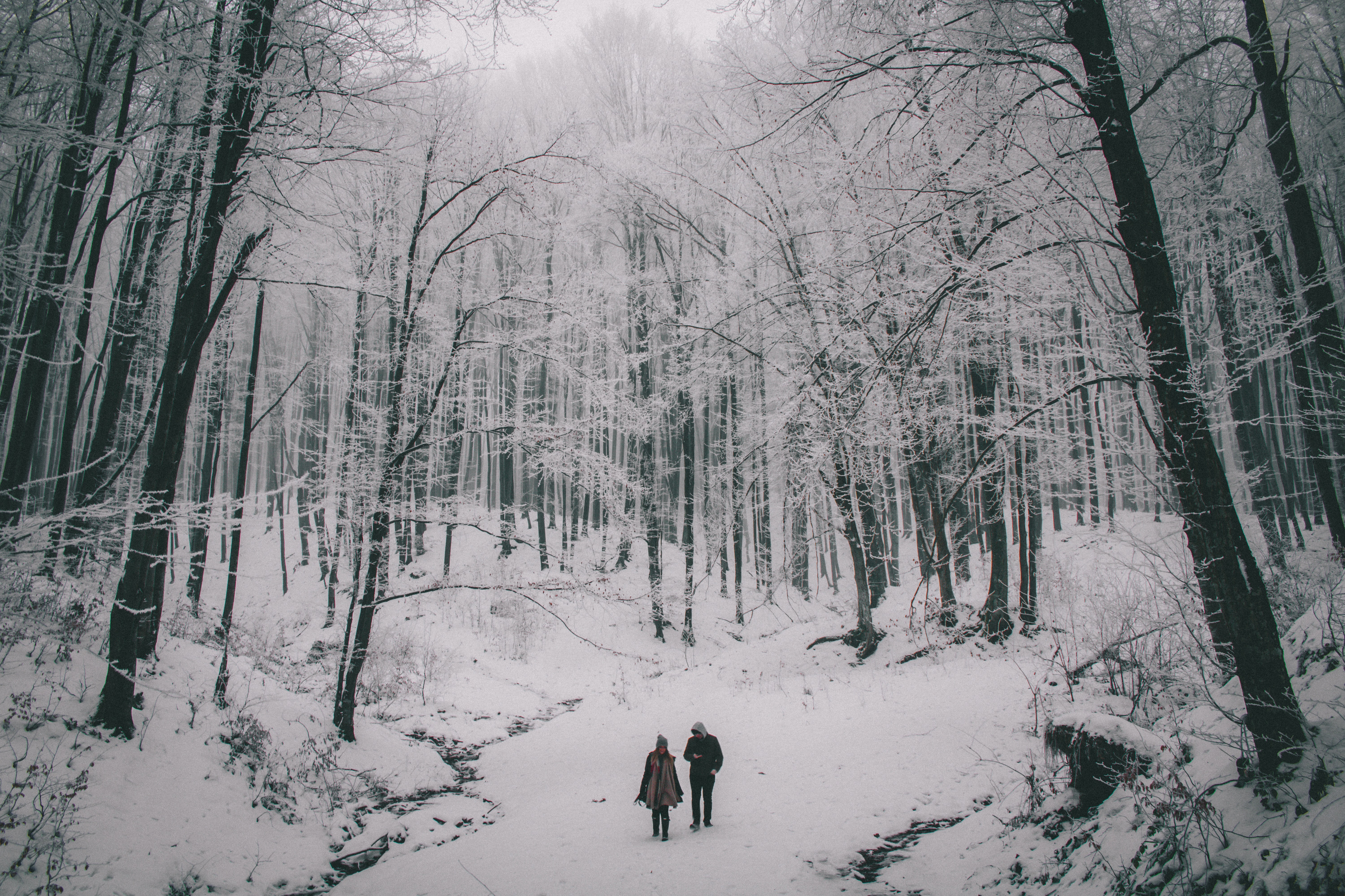 December Dating Ideas For Countryside Lovers