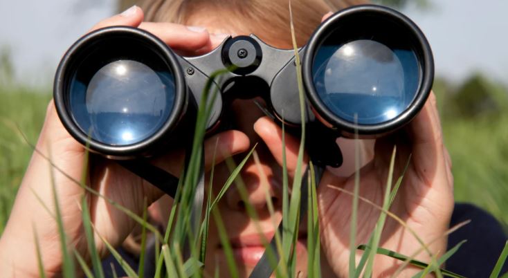 9 lesser spotted messenger types who may land in your inbox