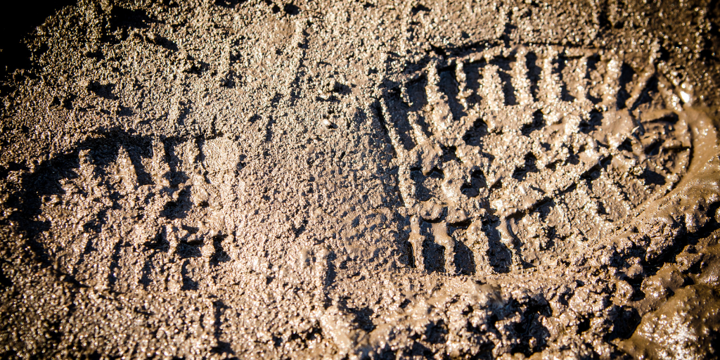 Daters digging deeper into digital footprints