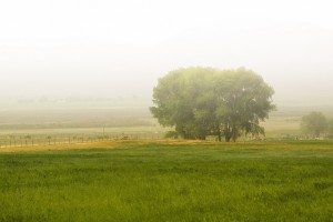 Starting a New Life in the Countryside