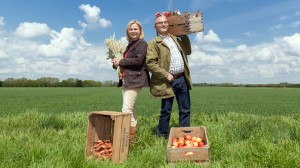 BBC 2’s Harvest 2013