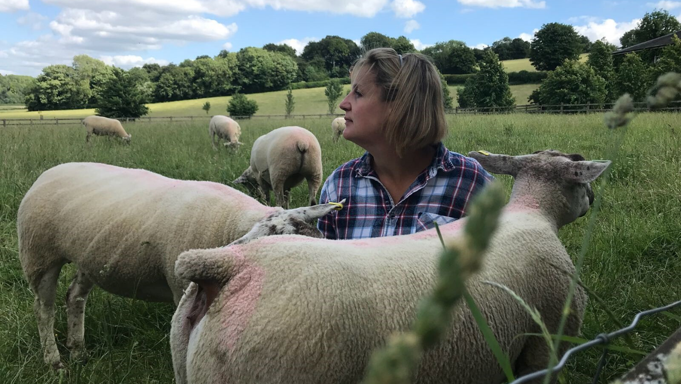 Shepherdess seeks her ‘muddiness’ lost in lockdown