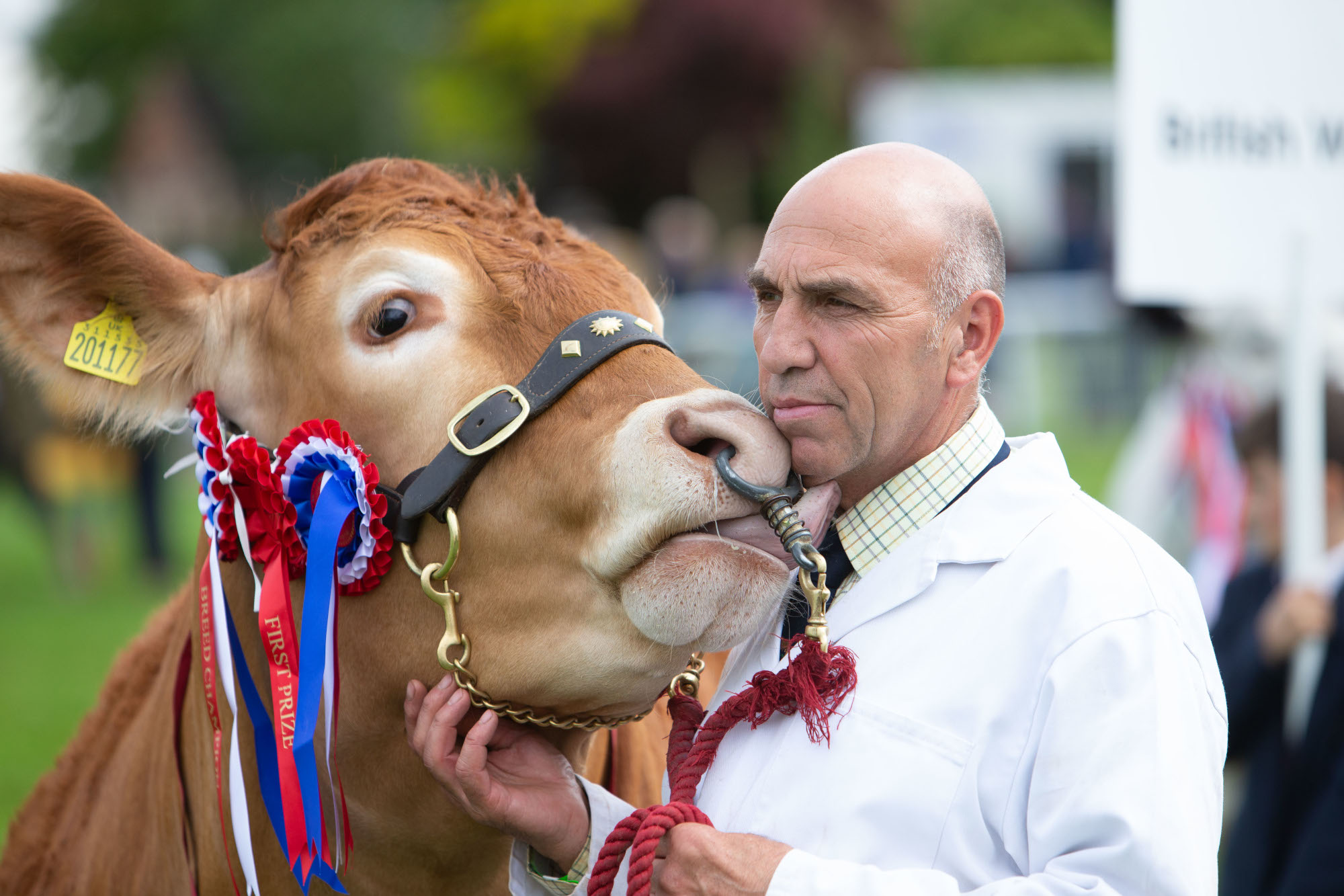 Thinking Differently; County Shows go virtual